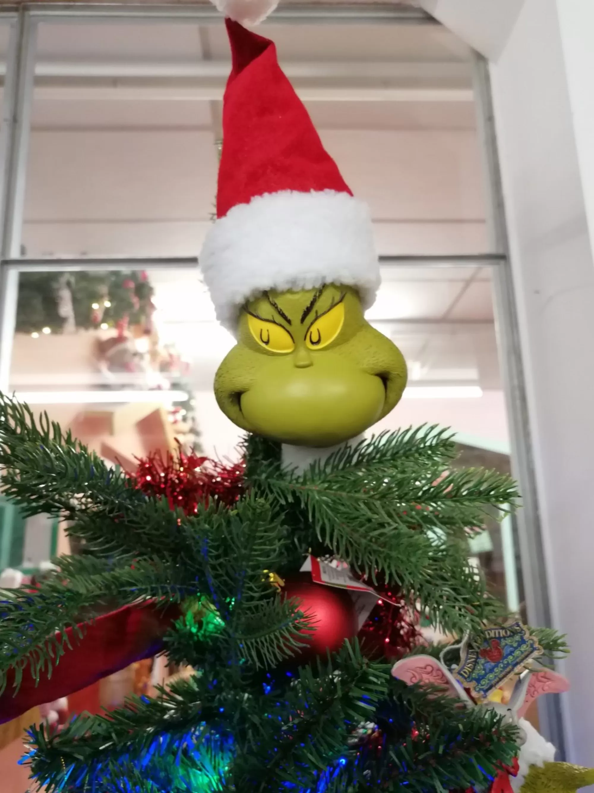 Sale La Maison du Père Noël Cime Grinch