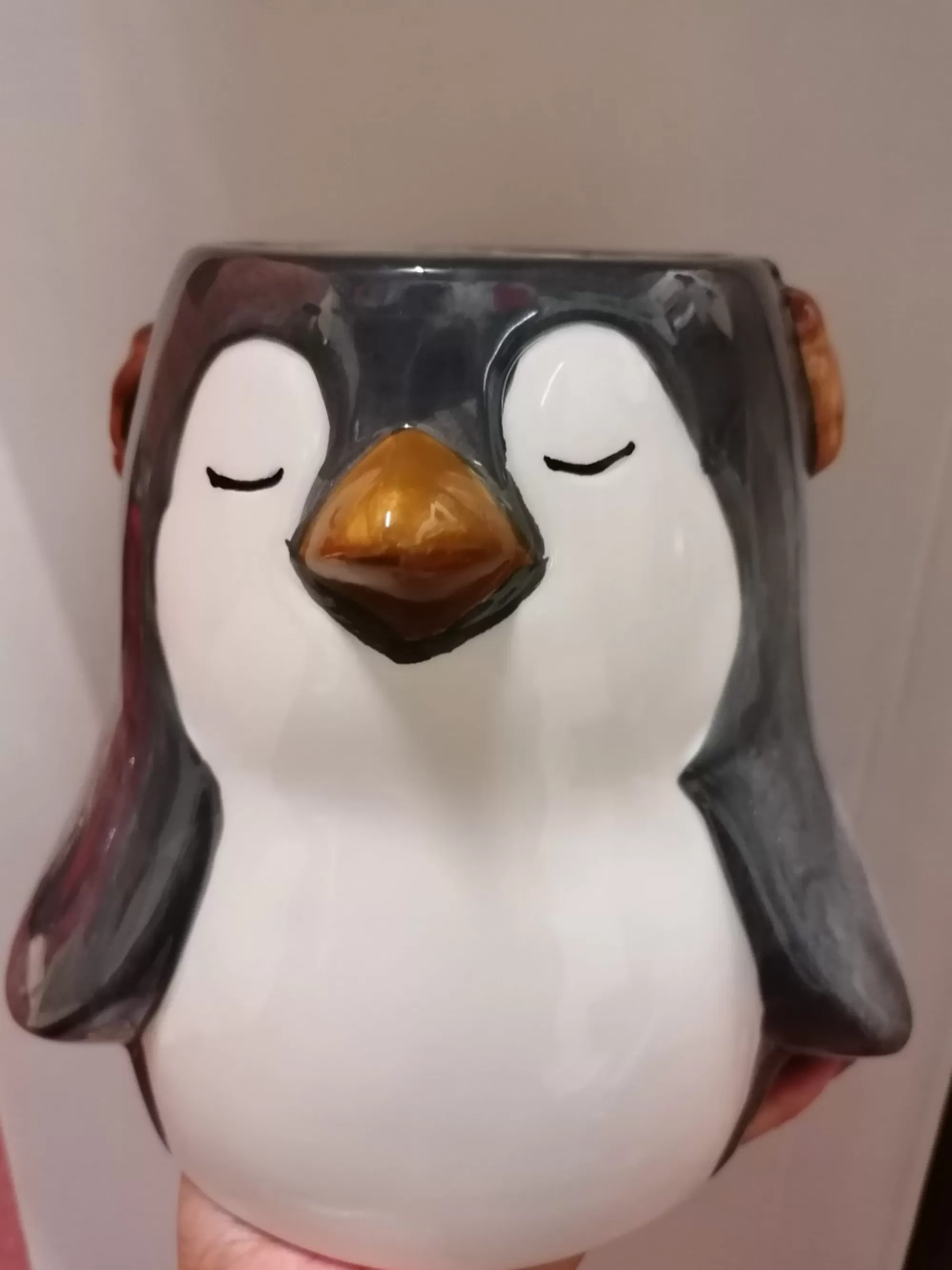 Store La Maison du Père Noël Promo Pot Pinguin